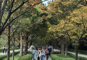 钟山风景名胜区第 153 张图片