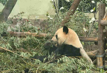上海动物园第 140 张图片