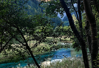 九寨沟风景区第 609 张图片