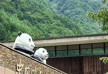 卧龙中华大熊猫苑神树坪基地第 30 张图片