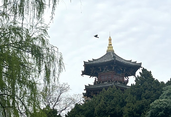 兴庆宫公园第 143 张图片