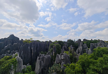 石林风景区第 116 张图片
