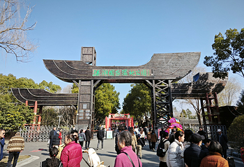 溱湖国家湿地公园第 27 张图片