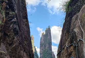 莽山旅游区国家森林公园第 89 张图片