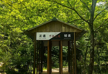 青峰峡森林公园第 16 张图片