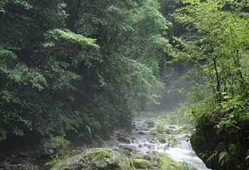 中坝大峡谷第 9 张图片