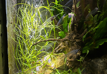 上海海洋水族馆第 156 张图片