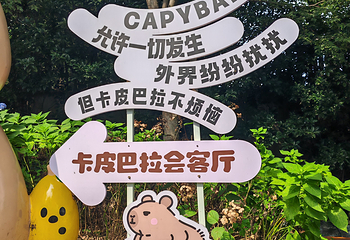 茅山森林世界第 128 张图片