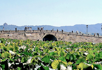 西湖观光游览车第 41 张图片