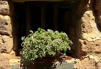 建水小火车第 75 张图片