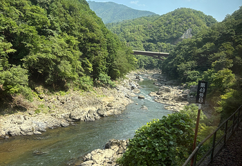 岚山嵯峨野观光小火车第 60 张图片
