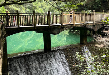 张家界大峡谷第 120 张图片