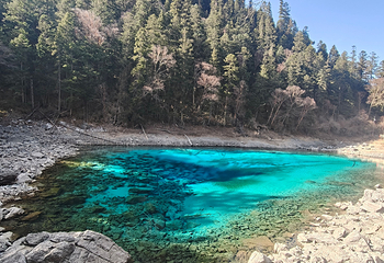 九寨沟风景区第 477 张图片