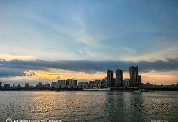 湛江红嘴鸥游船第 46 张图片