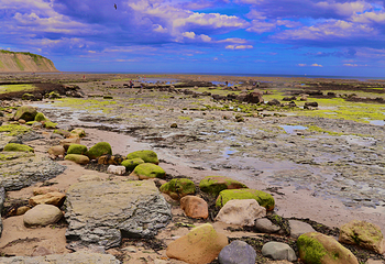 Robin Hoods Bay Beach第 2 张图片