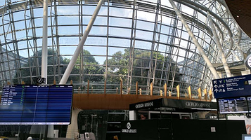 KLIA Jungle Boardwalk