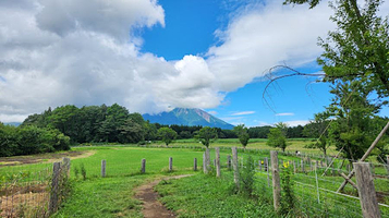 小岩井農場 ゴロゴロネット
