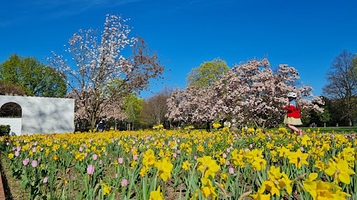 纽伦堡市立公园