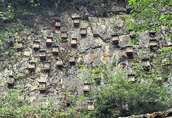 神农架风景区第 181 张图片