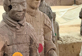 秦始皇帝陵博物院(兵马俑)第 412 张图片