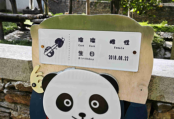 卧龙中华大熊猫苑神树坪基地第 66 张图片