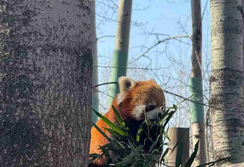 北京野生动物园第 331 张图片