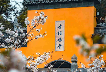 鸡鸣寺第 23 张图片