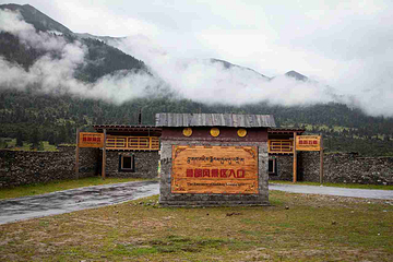鲁朗国际旅游小镇第 15 张图片