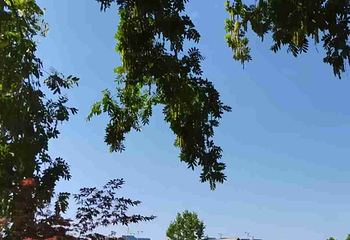西安浐灞国家湿地公园第 40 张图片
