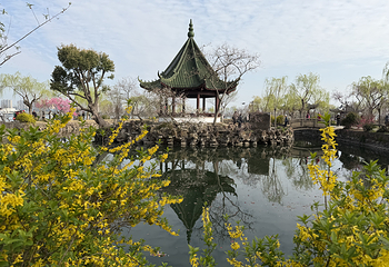 蠡园第 23 张图片