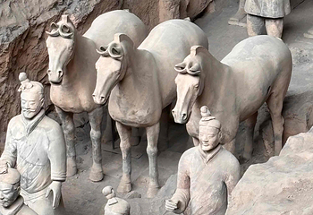 秦始皇帝陵博物院(兵马俑)第 491 张图片