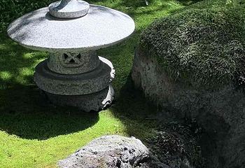 上海植物园第 63 张图片
