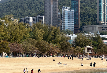 浅水湾第 54 张图片