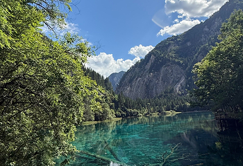 九寨沟风景区第 397 张图片