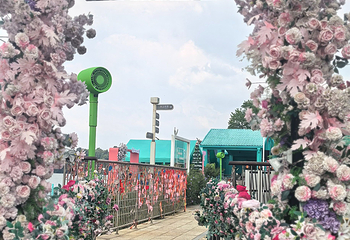 仙女湖第 54 张图片
