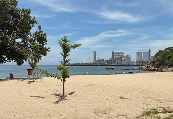 南丫岛第 67 张图片