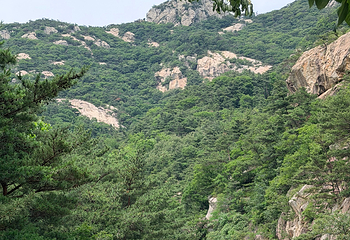 昆嵛山无染寺第 9 张图片