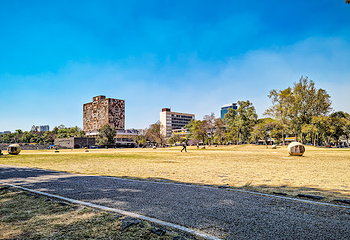 墨西哥国立自治大学城第 14 张图片