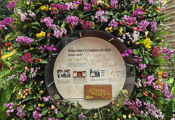 新加坡滨海湾花园第 120 张图片