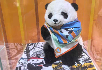 成都大熊猫繁育研究基地第 516 张图片