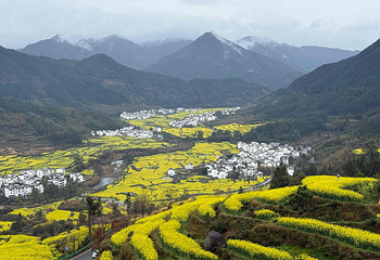 江岭景区第 67 张图片
