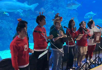 曼谷暹罗海洋世界第 29 张图片