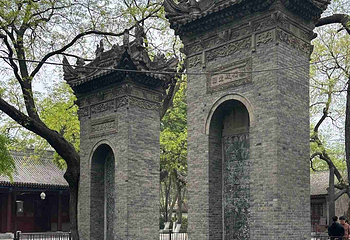 小雁塔遗址公园第 76 张图片
