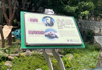 重庆动物园第 135 张图片