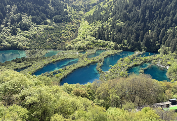 九寨沟风景区第 435 张图片