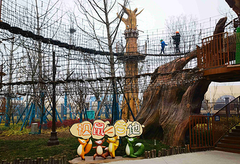 襄阳奇幻谷第 179 张图片