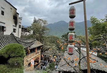 婺源篁岭景区第 355 张图片