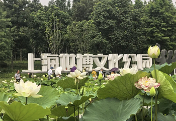 世博文化公园第 69 张图片