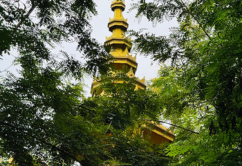 曼听御花园第 161 张图片
