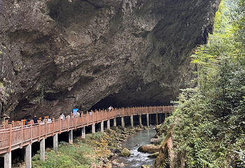 张家界大峡谷第 101 张图片